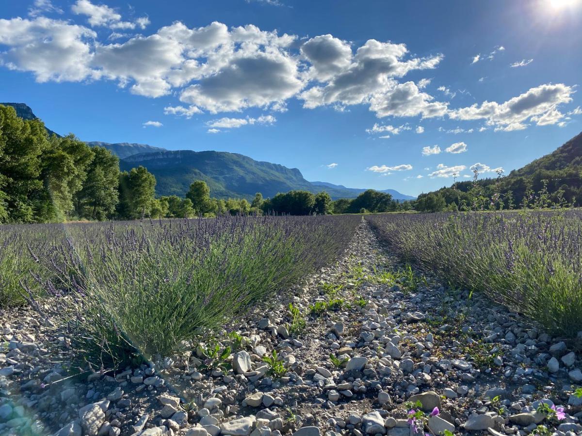 Gite En Haute Provence Montfroc Exteriör bild