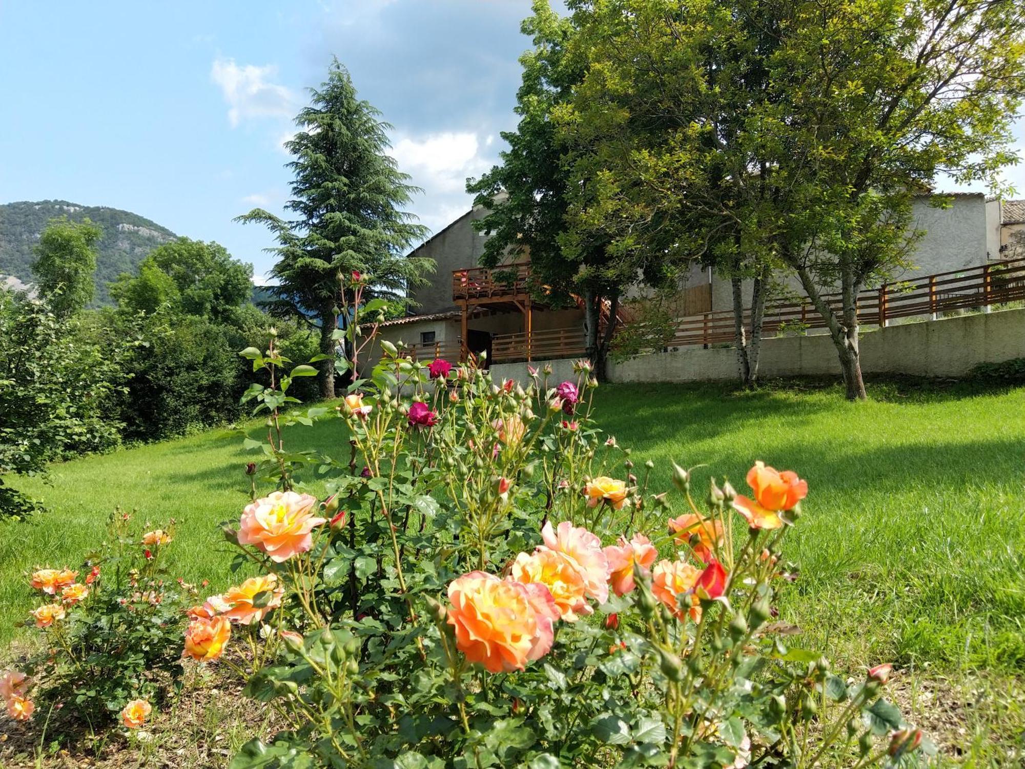 Gite En Haute Provence Montfroc Exteriör bild