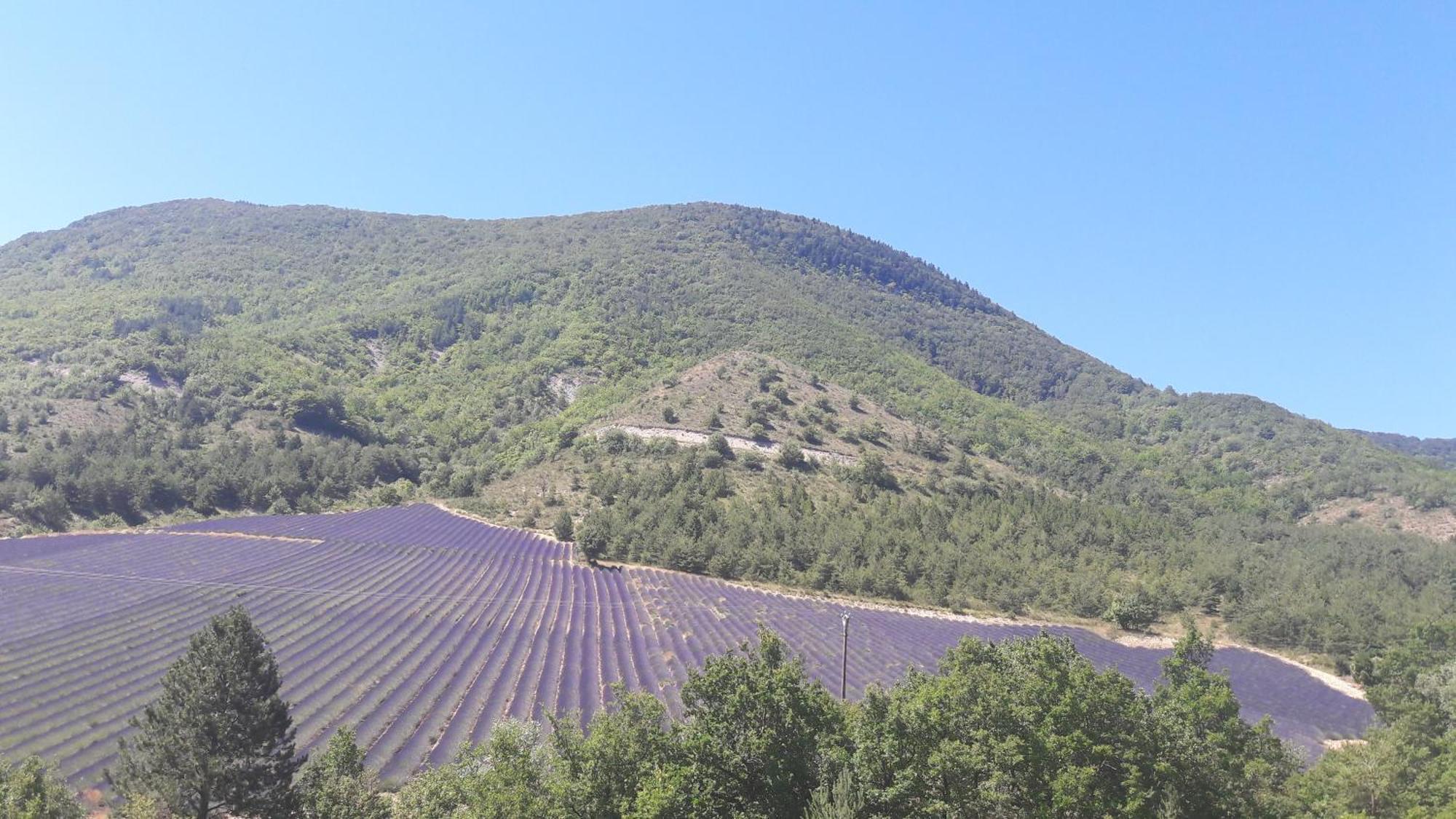 Gite En Haute Provence Montfroc Exteriör bild